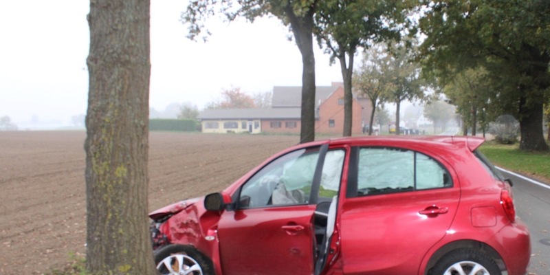 POL-MI: Kleinwagen prallt gegen Baum - Foto: presseportal.de
