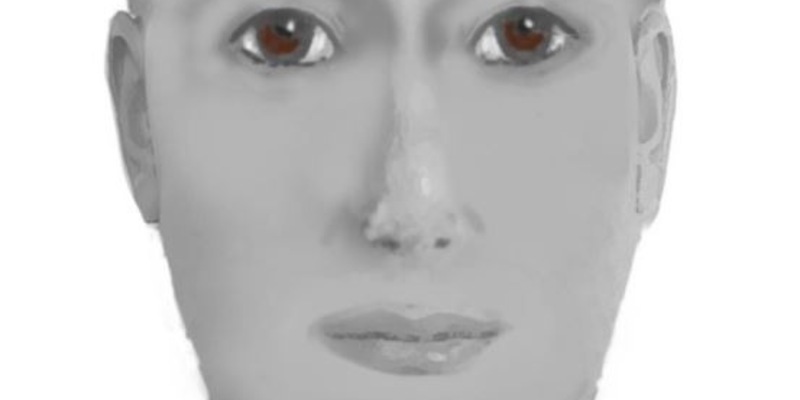 POL-KI: 241029.2 Altenholz: vollendetes Betrugsdelikt - sogenannter Schockanruf - Polizei veröffentlicht Phantombild des tatverdächtigen Abholers - Foto: presseportal.de