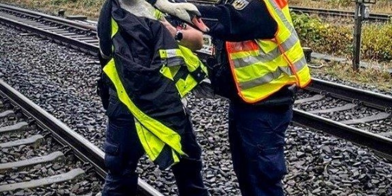 BPOL-KI: Bundespolizei - Schwan aus Gleisbereich gerettet - Foto: presseportal.de