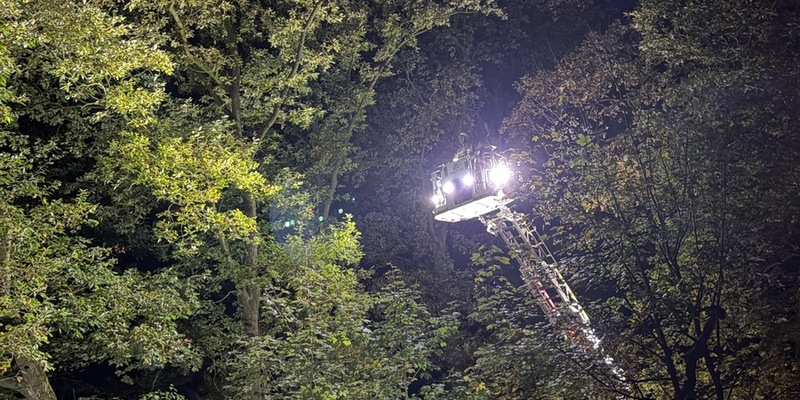 FW-KLE: Roter Panda auf Abwegen - Foto: presseportal.de