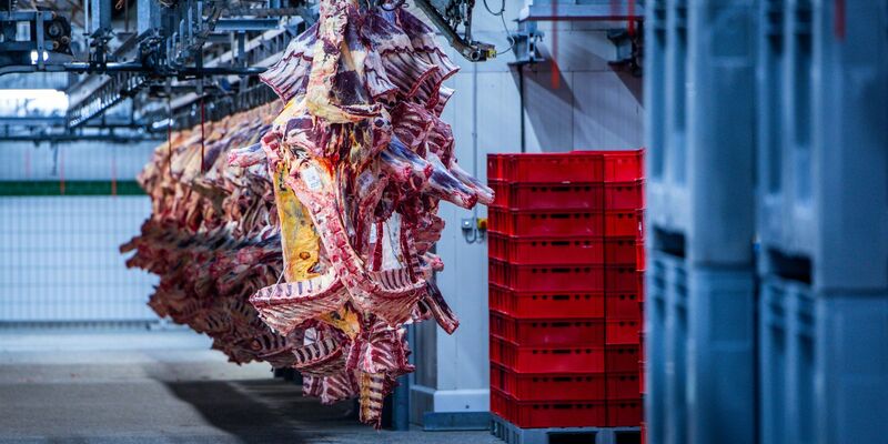 Der Schlachthof wurde am Montag zunächst geschlossen. (Symbolbild) - Foto: Jens Büttner/dpa