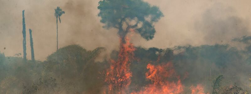 Der Klimawandel beeinträchtigt weltweit immer stärker die menschliche Gesundheit. (Archivbild) - Foto: Andre Penner/AP/dpa