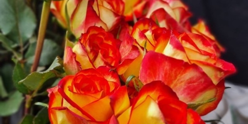 POL-OH: Erfolgreiche Zusammenarbeit zwischen Polizei und Schulkindern im Rahmen des Präventionsprogramms Schule beginnt - Blitz for Kids - Foto: presseportal.de