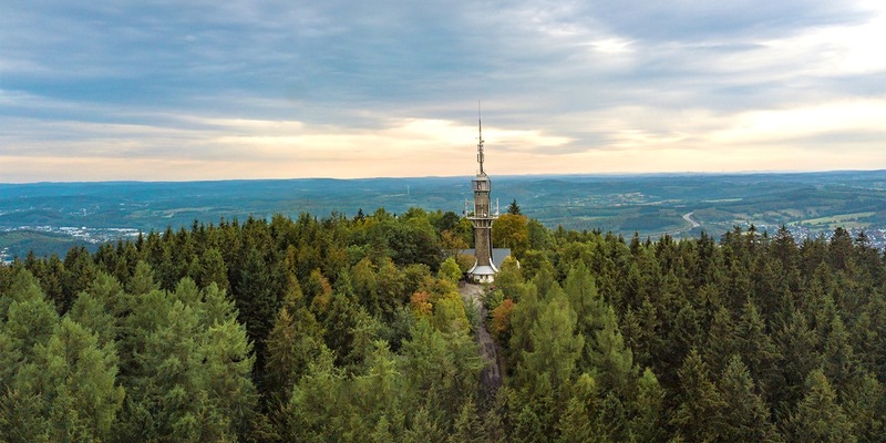 400.000 Bäume für den heimischen Wald - Krombacher Brauerei unterstützt Aufforstung und Schutz des Ökosystems in ihrer Heimatregion - Foto: presseportal.de