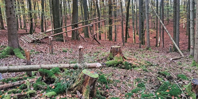 POL-MR: Fichten gefällt und Gebilde gebaut + Garagen besprüht + Lampe und Schrank entwendet - Foto: presseportal.de