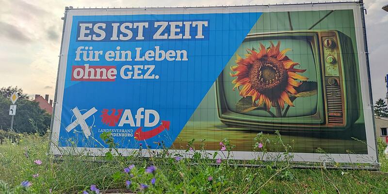 AfD-Wahlplakat zur Landtagswahl in Brandenburg (Archiv) - Foto: über dts Nachrichtenagentur