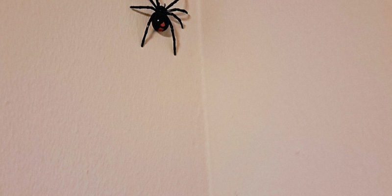 FW-M: Halloweennacht (Stadtgebiet) - Foto: presseportal.de