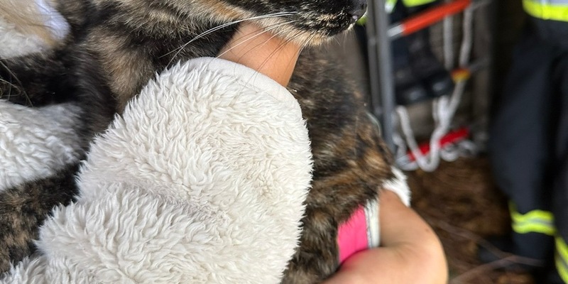 FW-WRN: Freiwillige Feuerwehr Werne wird innerhalb von 24 Stunden zu 7 Einsätzen gerufen - Foto: presseportal.de