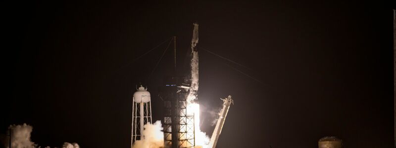 An Bord einer Falcon 9-Rakete von SpaceX wurde «Lignosat» ins All befördert.  - Foto: Jennifer Briggs/ZUMA Press Wire/dpa