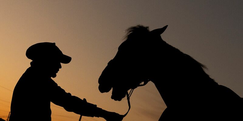 Kentucky ist bekannt für Pferderennen und Bourbon. Der Republikaner Trump hatte hier ein leichtes Spiel. (Archivbild) - Foto: Evers/CSM via ZUMA Press Wire/dpa