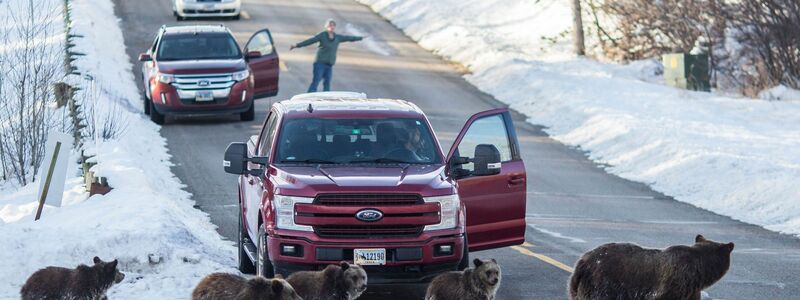 Seit langem wählt Wyoming verlässlich republikanisch. (Archivbild) - Foto: Ryan Dorgan/Jackson Hole News & Guide via AP/dpa