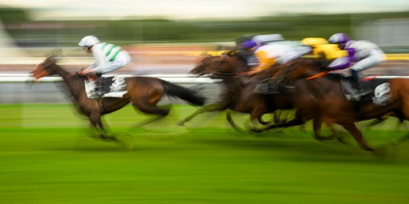 Mit Plänen für höhere Wettsteuern bringt die Pariser Regierung die Reitsportbranche gegen sich auf (Archivbild). - Foto: Gregor Fischer/dpa