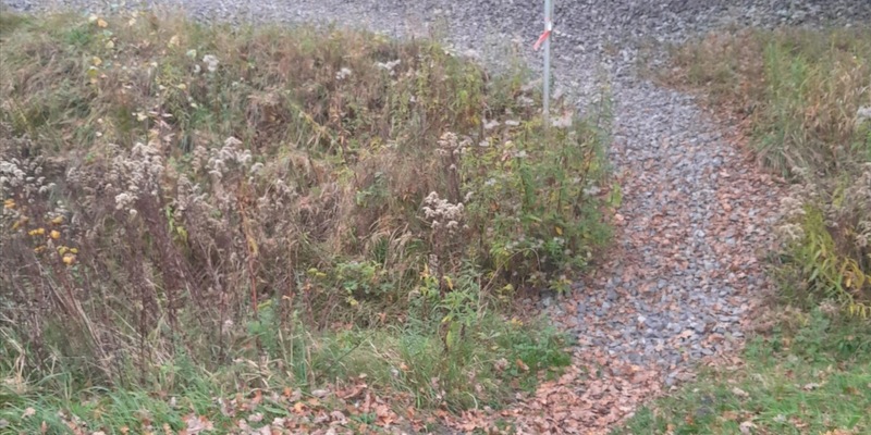BPOL-BadBentheim: Gefährliche Abkürzung über die Gleise - Foto: presseportal.de