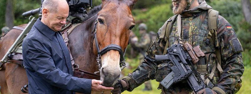 Braucht die Bundeswehr deutlich mehr Geld? - Foto: Peter Kneffel/dpa