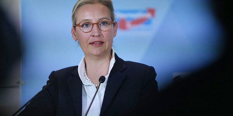 Alice Weidel am 07.11.2024 - Foto: über dts Nachrichtenagentur