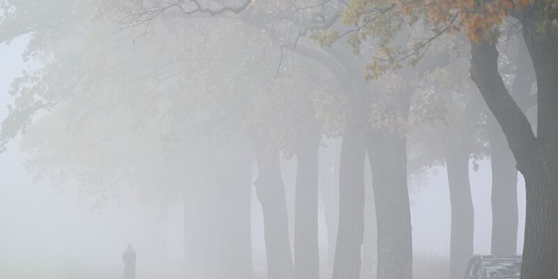 Das Wetter bleibt am Wochenende oft grau. (Archivbild) - Foto: Patrick Pleul/dpa