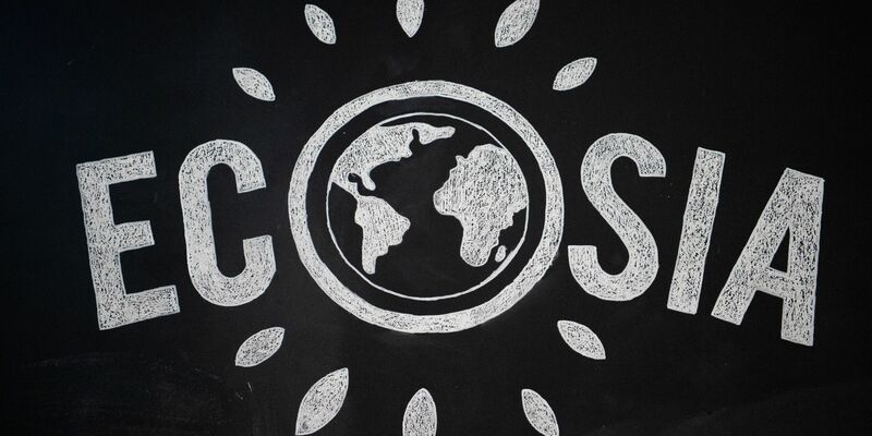 Zusammen mit der Suchmaschine Qwant aus Frankreich will das Berliner Start-up Ecosia einen Suchmaschinennindex aufbauen, der ohne Google und Bing auskommt. - Foto: Arne Immanuel Bänsch/dpa