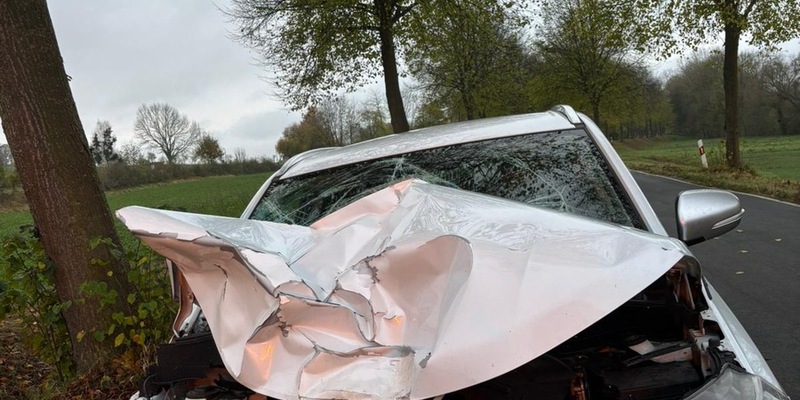 POL-NOM: Unfall mit einem Rind - Foto: presseportal.de