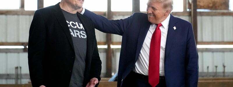 Tech-Milliardär Musk soll der Regierung unter Trump beim Sparen helfen. - Foto: Alex Brandon/AP/dpa