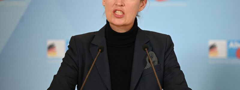 Die AfD wird aktuell als rechtsextremistischer Verdachtsfall vom Verfassungsschutz beobachtet. Alice Weidel will die Partei als Kanzlerkandidatin in den Bundestagswahlkampf führen. (Archivfoto) - Foto: Alina Grünky/dpa