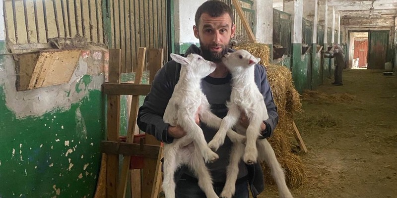 1.000 Tage Krieg: wie PETA und Animal Rescue Kharkiv den oft vergessenen Opfern in der Ukraine helfen - Foto: presseportal.de