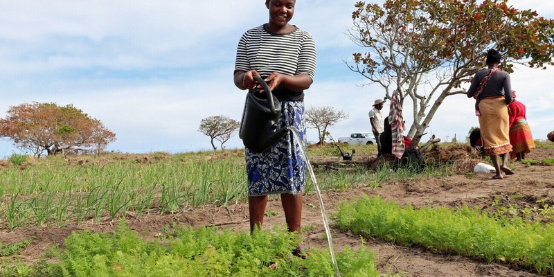 Zur Klimakonferenz in Baku warnen Hilfsorganisationen: Nicht zu handeln, ist deutlich teurer / Bündnisorganisationen erwarten von Industriestaaten mehr Gelder für Klimaanpassung - Foto: presseportal.de