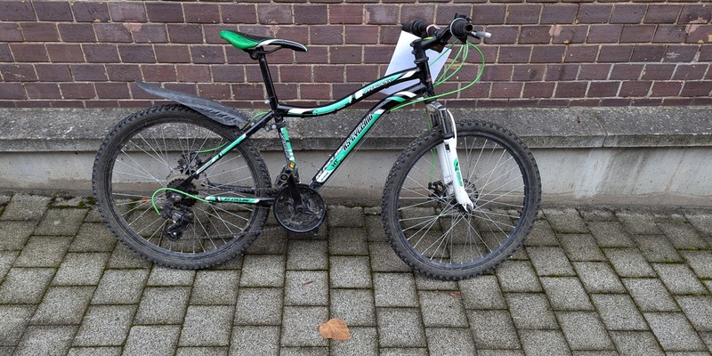 LPI-GTH: Eigentümer gesucht - Foto: presseportal.de