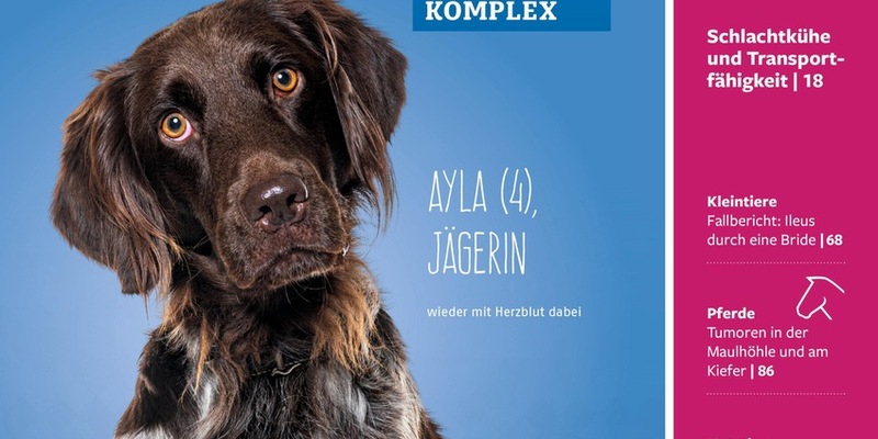 Die Praktische Tierärztin: Renommierte Fachzeitschrift benennt sich nach 105 Jahren um und wird weiblich - Foto: presseportal.de