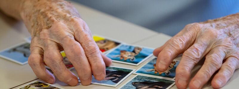 Das Spielen von Memory soll gegen den Gehirnabbau wirken.  - Foto: Sven Hoppe/dpa