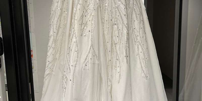 POL-BN: Update: Brautkleid in Koffer gefunden - Bonner Polizei sucht mutmaßliche Braut - Foto: presseportal.de