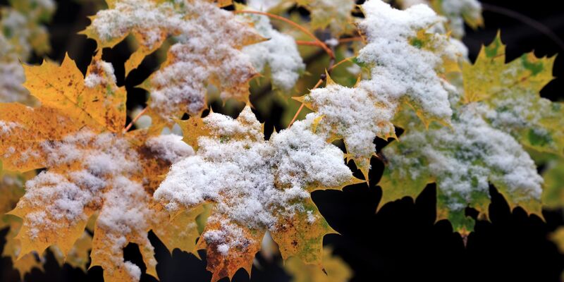 Nächste Woche zeigt sich der Frühwinter. - Foto: Karl-Josef Hildenbrand/dpa