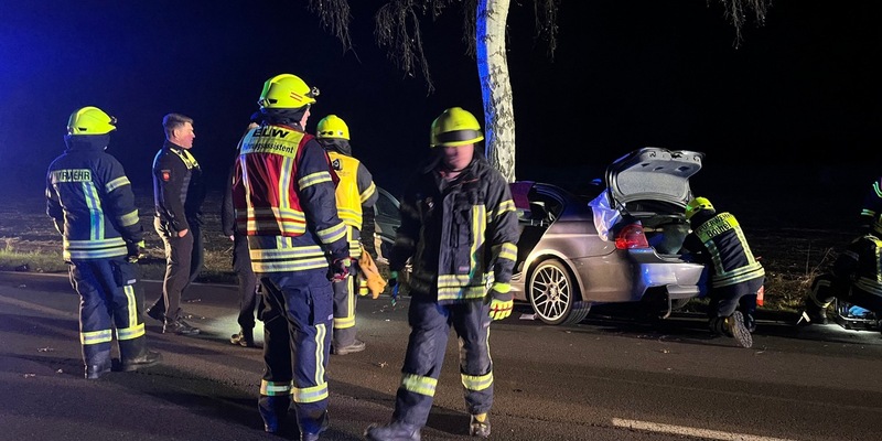 FW-ROW: BMW prallt frontal gegen Birke - Foto: presseportal.de