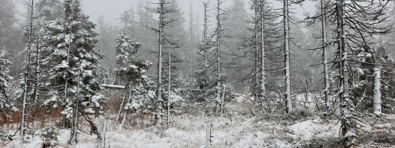 Auch auf dem Brocken hat es geschneit. (Foto Aktuell vom 17.11.) - Foto: Matthias Bein/dpa