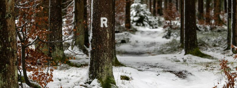 Schneefälle haben den Rennsteig im Thüringer Wald in eine Winterlandschaft verwandelt. - Foto: Michael Reichel/dpa