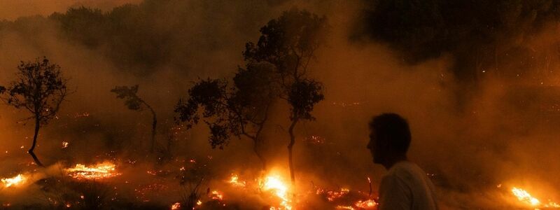 Der Waldbrand in der Nähe der griechischen Stadt Alexandroupolis im Jahr 2023 war der größte bisher registrierte Brand in Europa. (Archivbild) - Foto: Achilleas Chiras/AP/dpa