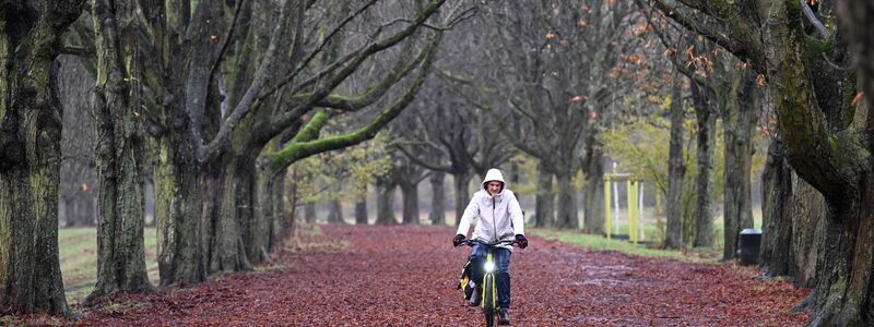 Der Regenschirm könnte auch in den kommenden Tagen ein guter Begleiter sein. - Foto: Roberto Pfeil/dpa