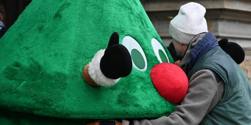 Ein Gärtner muss sich wegen Hausfriedensbruches verantworten, weil er auf einem umzäunten Kita-Gelände heimlich einen Weihnachtsbaum aufgestellt hat. Die Kita hatte sich zuvor gegen einen Baum entschieden. - Foto: Niklas Graeber/dpa