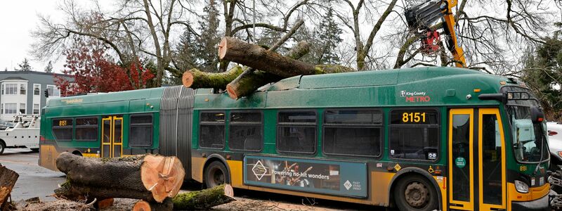 Ein heftiger Wintersturm sorgt an der US-Westküste für Chaos. - Foto: Karen Ducey/The Seattle Times via AP/dpa