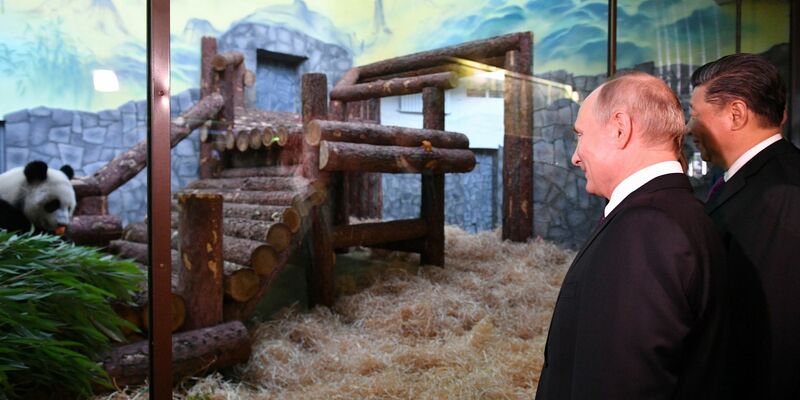Tiere als Ausdruck freundschaftlicher Beziehungen zwischen den Ländern: Der Moskauer Zoo profitierte auch schon von dieser Art der Diplomatie - als Chinas Staats- und Parteichef Xi Jinping (rechts) Putin Pandabären schenkte. (Archivbild) - Foto: Alexander Vilf/Pool Sputnik Kremlin/AP/dpa