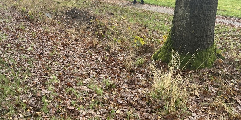 POL-STD: Schwarzer BMW in Düdenbüttel entwendet, - Foto: presseportal.de