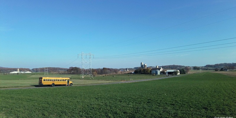 IDFA 2024: Drei ARTE-Koproduktionen ausgezeichnet - Foto: presseportal.de