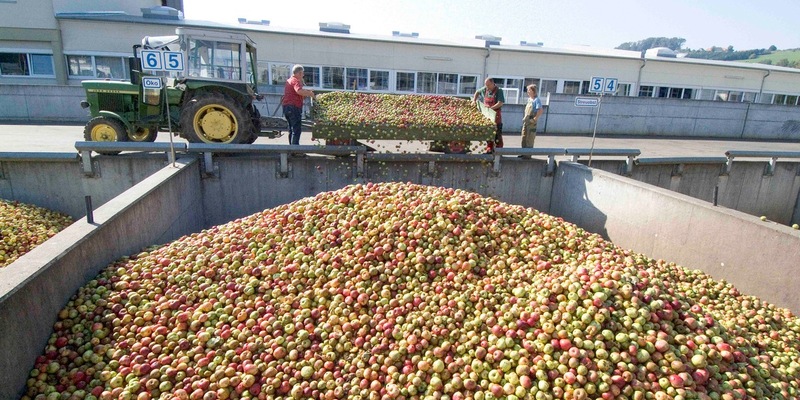 Historische Höchstpreise für Mostäpfel - Foto: presseportal.de