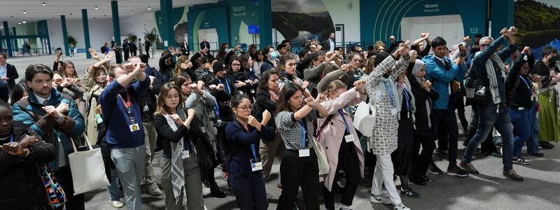 Die Weltklimakonferenz hat sich nach langem Ringen auf einen Kompromiss geeinigt.  - Foto: Joshua A. Bickel/AP