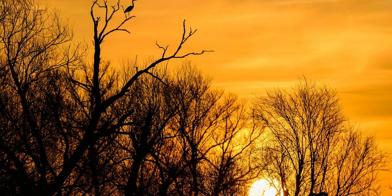 Im Laufe der Woche kommt das Herbstwetter zurück. - Foto: Patrick Pleul/dpa