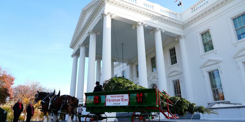 Der diesjährige Weihnachtsbaum stammt aus North Carolina.  - Foto: Susan Walsh/AP
