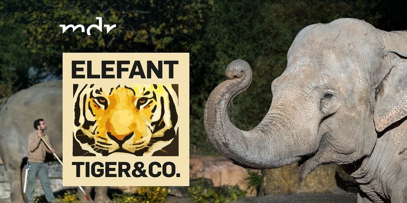 Alles auf Anfang: Alle Folgen von „Elefant, Tiger & Co.“ in der ARD Mediathek und im MDR-Fernsehen - Foto: presseportal.de
