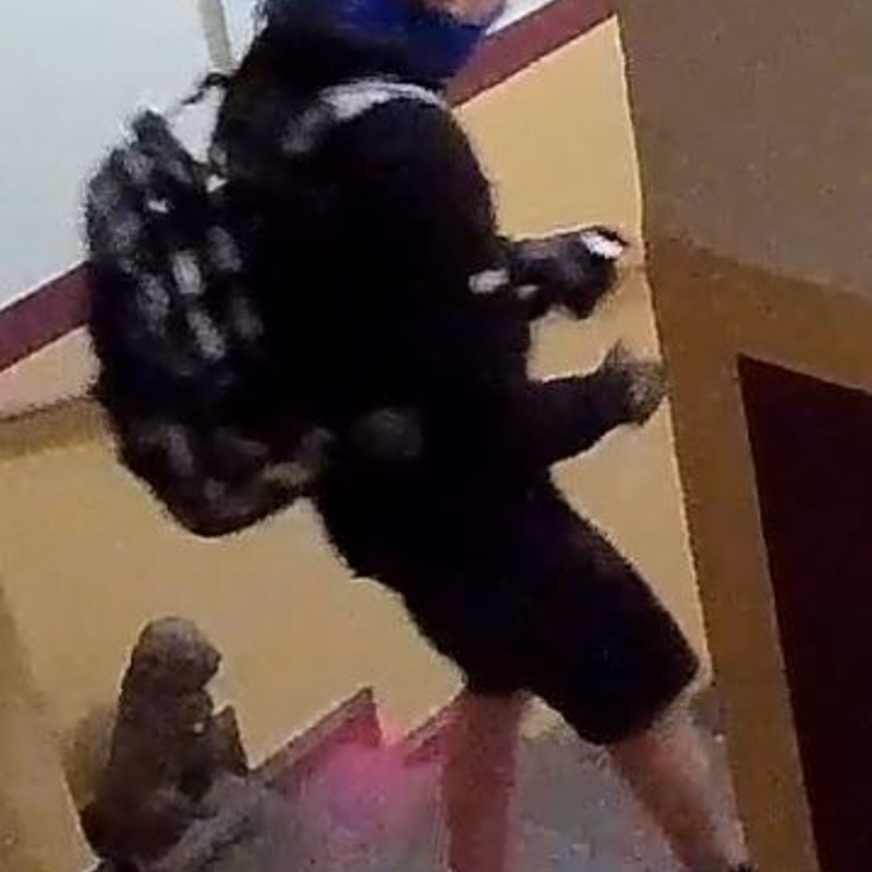 LPI-J: Öffentlichkeitsfahndung nach Diebstahl aus Hostel - Foto: presseportal.de