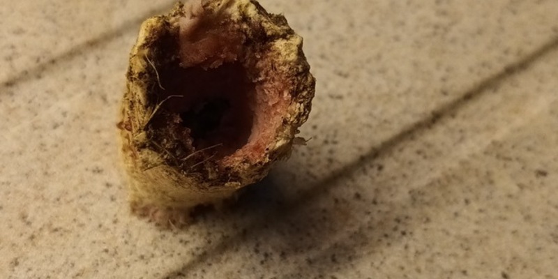 POL-GF: Giftköder auf Grundstück - Foto: presseportal.de