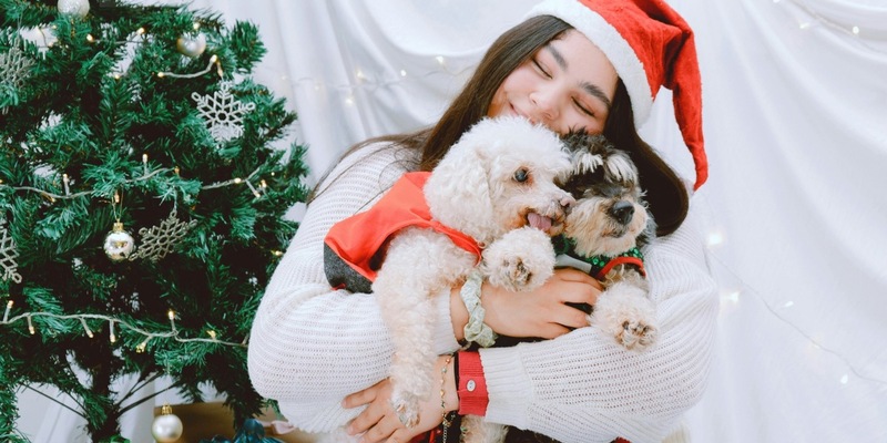 Weenect-Studie: Drei von vier Tierhaltern schenken ihrer Fellnase etwas zu Weihnachten / Inkl. 5 Tipps für besseres Schenken - Foto: presseportal.de