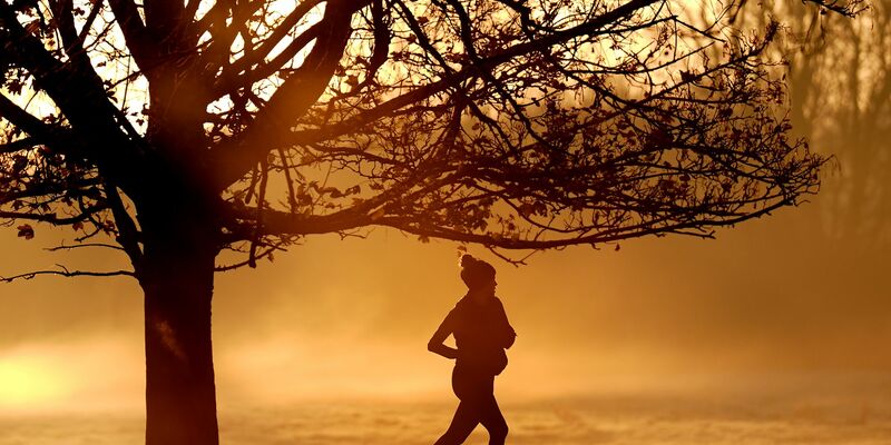 Auch die Herbstmonate 2024 waren laut ersten Prognosen zu warm (Foto aktuell). - Foto: Joe Giddens/PA Wire/dpa